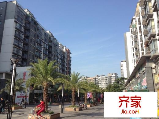 理想0769外景圖 