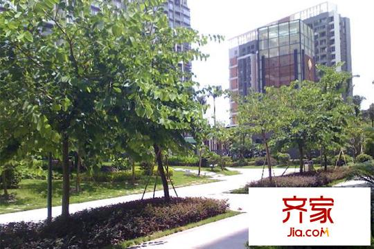 萬科金悅香樹實(shí)景圖小區(qū)園林（2015-3-20）