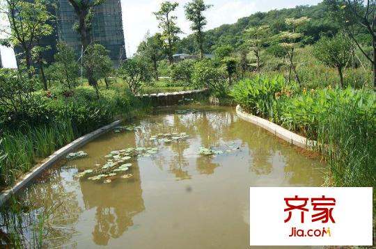 花園城?孔雀湖小區(qū)外景（2013-5-14）