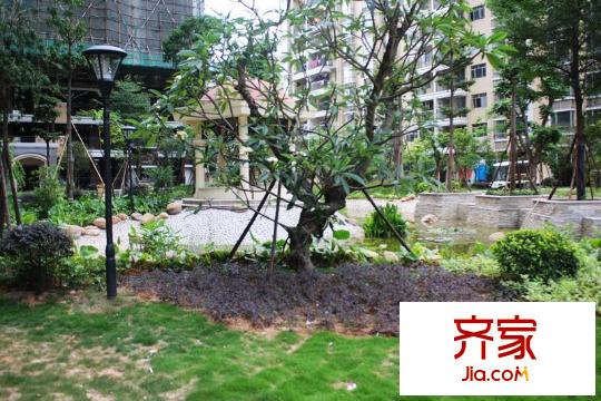 沙田東港城上郡實景圖園林實景（2011-06-10）