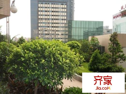 蓮峰廣場外景圖 