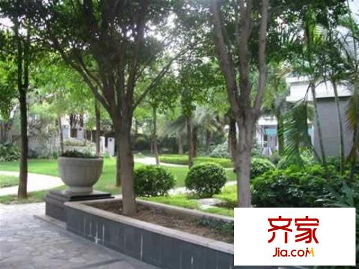 東僑樓外景圖2 外景