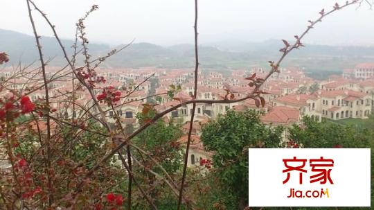 樟木頭綠茵山莊外景圖 