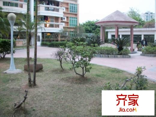 美地芳鄰?fù)饩皥D 