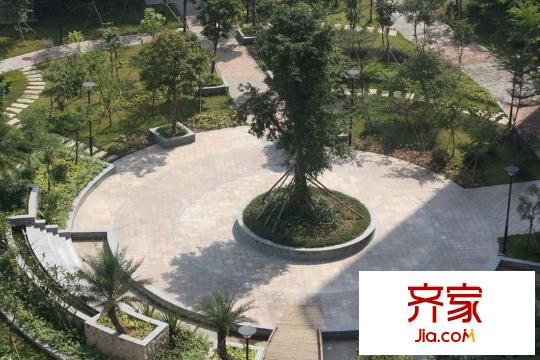 麗景名門二期實景圖小區(qū)園林(2010-11-03)