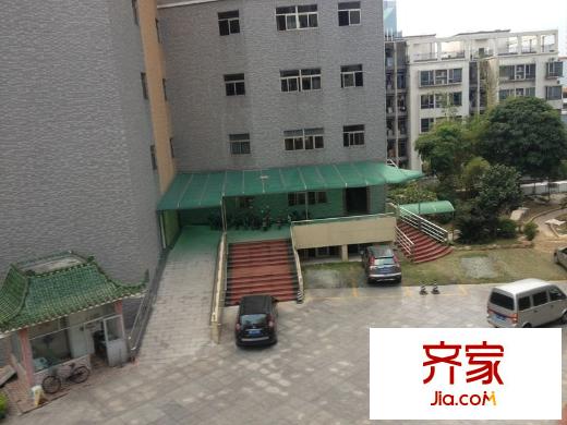 金牛大廈外景圖 