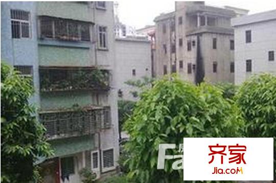 虎門新苑東區(qū)外景圖 
