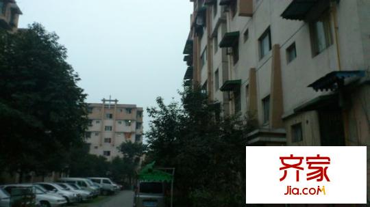 蓓蕾苑大廈