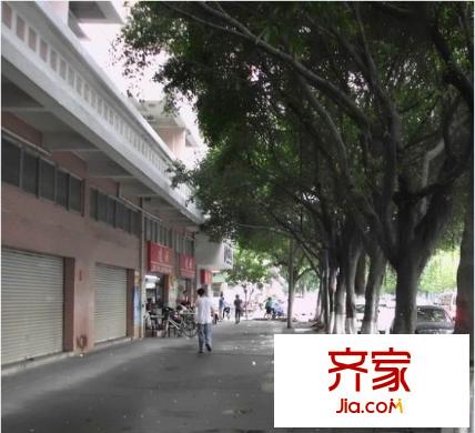 金豐花園(萬江)外景圖