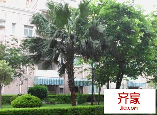 金豐花園(萬江)