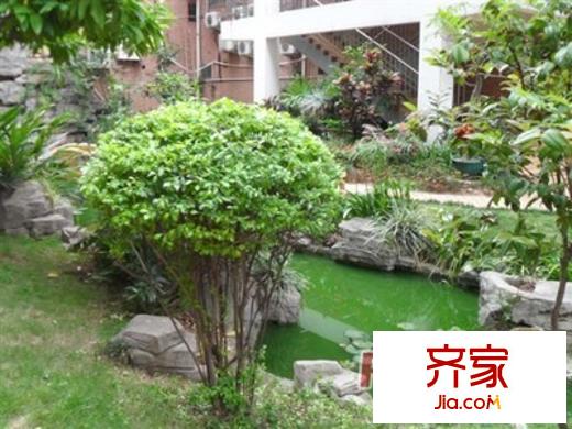 寶馬花園