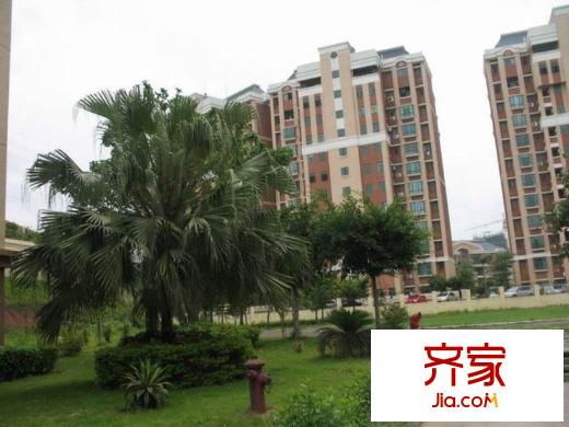 紫荊花園六期外景圖 