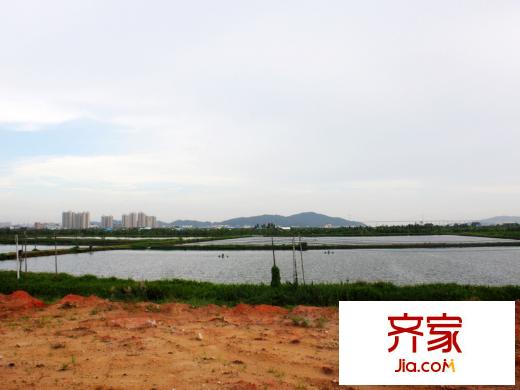 恒大御景半島地塊現(xiàn)狀（2013-6-8）
