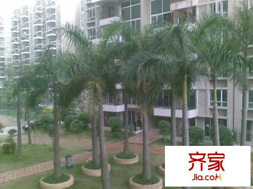 東江明珠花園