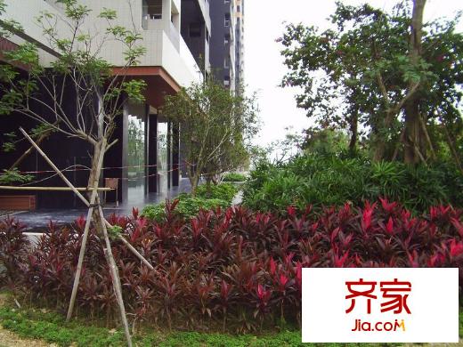 DADA的草地實(shí)景圖小區(qū)園林20121212