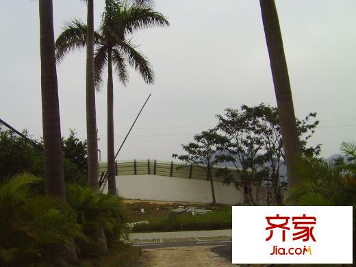 DADA的草地實(shí)景圖小區(qū)園林20121212