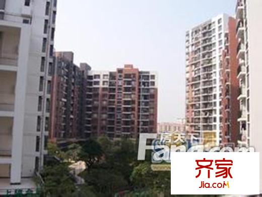 大嶺山美神公寓外景圖 戶型圖