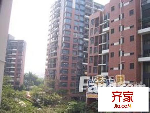 大嶺山美神公寓外景圖 戶型圖