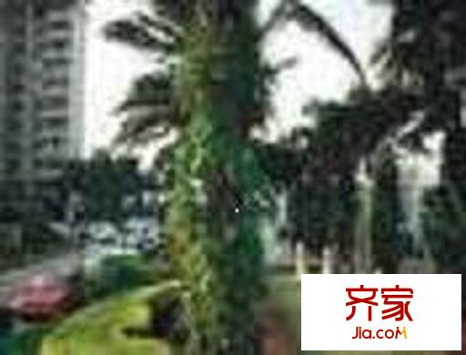 誠德大廈