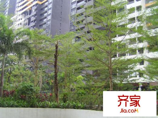 DADA的草地實(shí)景圖小區(qū)園林20121212