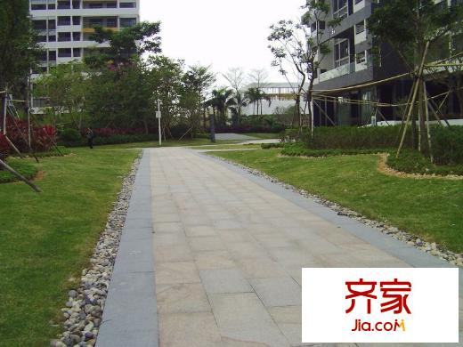 DADA的草地實(shí)景圖小區(qū)園林20121212