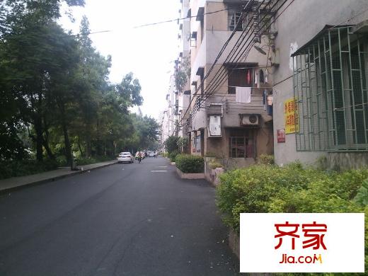草塘