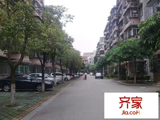 新園東區(qū)外景圖新元東區(qū)實(shí)景圖 