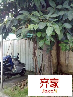 華誠(chéng)小區(qū)外景圖 