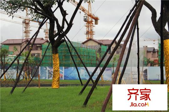 保利錦里（2014-12-22）