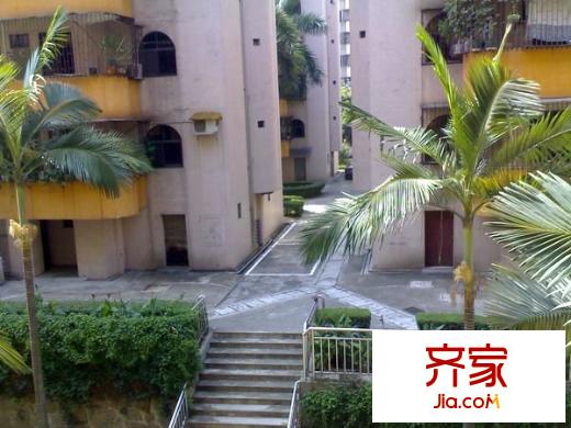 舊市府宿舍外景圖 