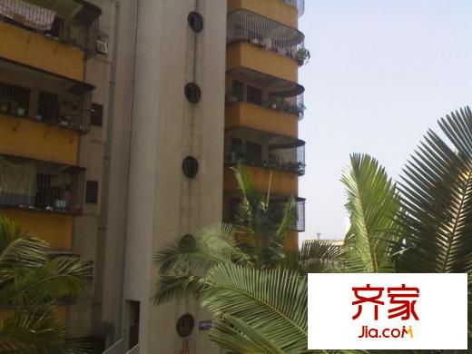 舊市府宿舍外景圖 