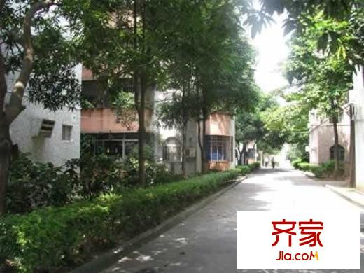 第一教師村外景圖實景圖