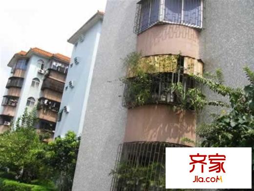 第一教師村外景圖實景圖