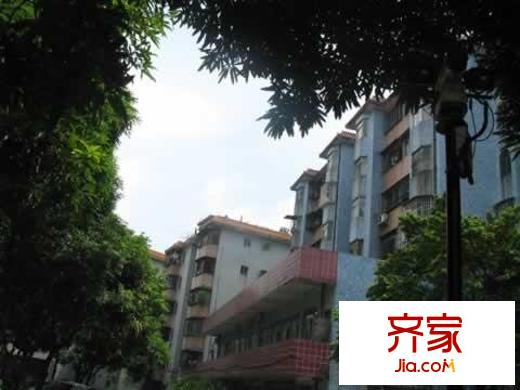第一教師村外景圖實景圖