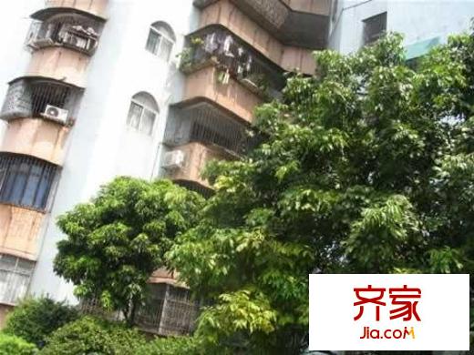 第一教師村外景圖實景圖