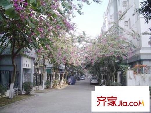 紫荊花園二期配套圖 周邊配套