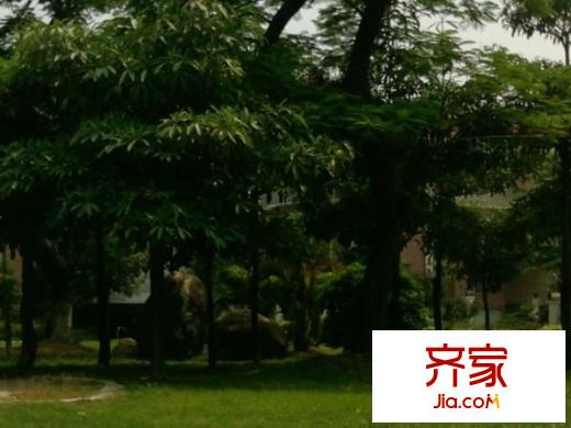 金沙灣花園
