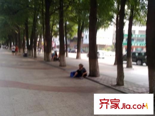 長青東街小區(qū)配套圖長青東街 周邊配套