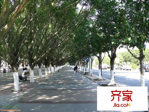 長青東街小區(qū)外景圖長青東街實景圖 