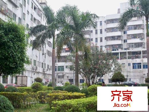 長青東街小區(qū)外景圖長青東街實景圖 
