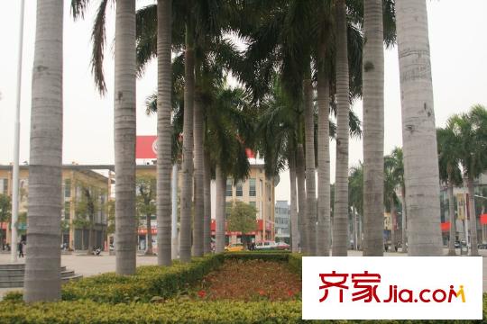 雍景家園配套圖附近的文化廣場(chǎng)
