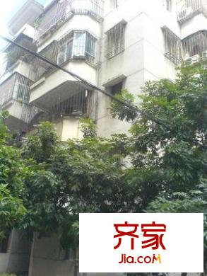 創(chuàng)業(yè)新村外景圖實景圖