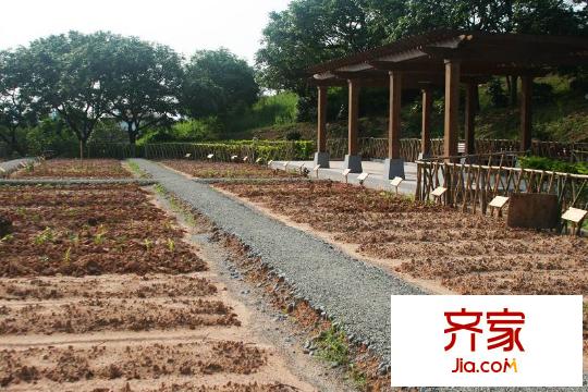 鼎峰尚境開心農(nóng)場（2012-5-8）