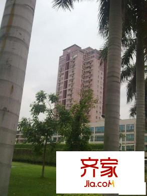 新園中區(qū)外景圖 