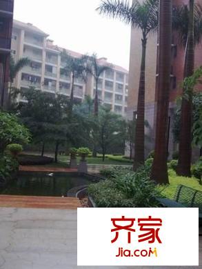 錦繡旗峰外景圖 