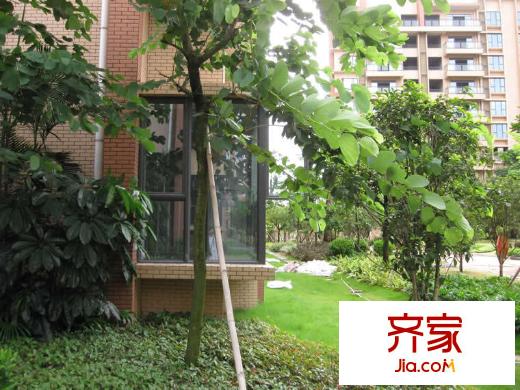 南城清華居外景圖東莞 清華居 