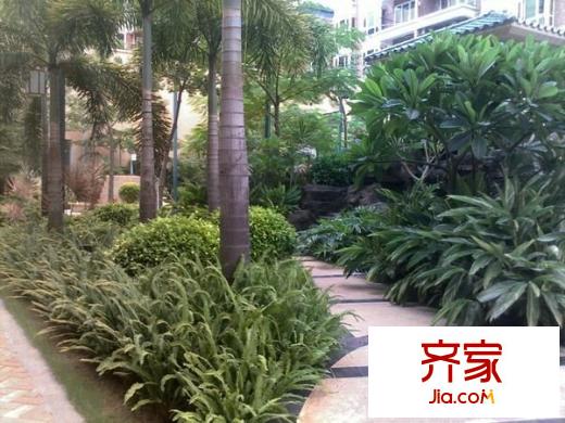 南峰御鹿華庭外景圖 