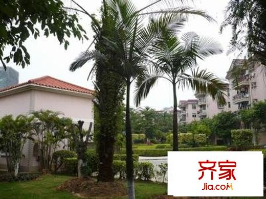 東泰花園又一居外景圖 