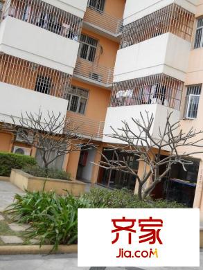 南峰玫瑰園外景圖 