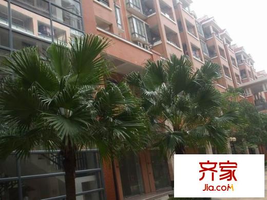 海悅新都會外景圖 